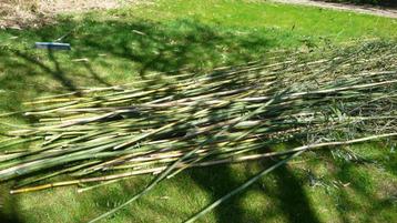 bussel bamboe stokke, Tuin en Terras, Ophalen of Verzenden