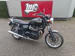 Triumph Bonneville 2011 17dkm, Motos, Motos | Triumph, Permis Moto A, Entreprise, 865 cm³, Plus de 35 kW