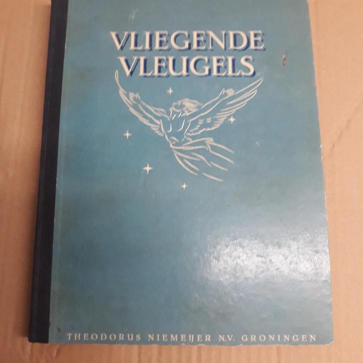 Vliegende Vleugels, Verzamelen, Luchtvaart en Vliegtuigspotten, Zo goed als nieuw, Boek of Tijdschrift, Ophalen of Verzenden