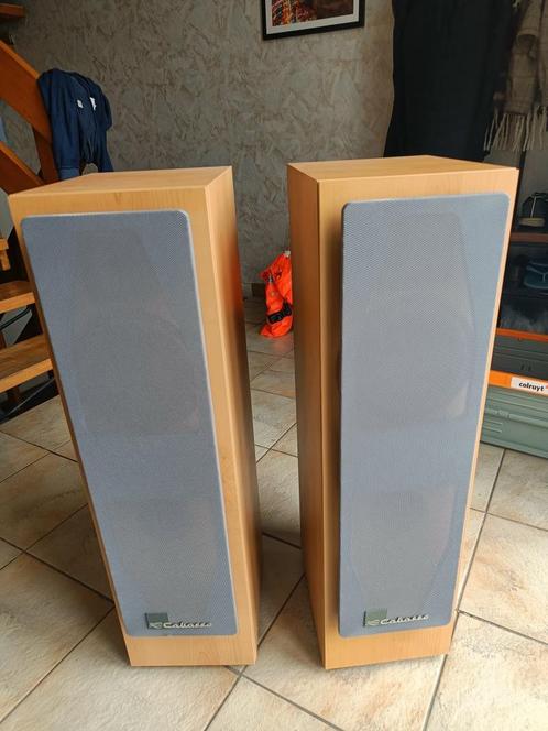 Cabasse Molène 220 vloerstaande luidsprekers – 4 Ohm, Audio, Tv en Foto, Luidsprekerboxen, Zo goed als nieuw, Overige merken, Ophalen