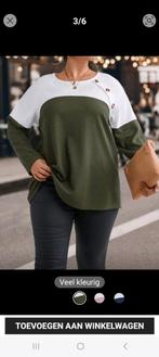 Trui XXL groen, Kleding | Dames, Grote Maten, Ophalen, Trui of Vest, Nieuw, Groen