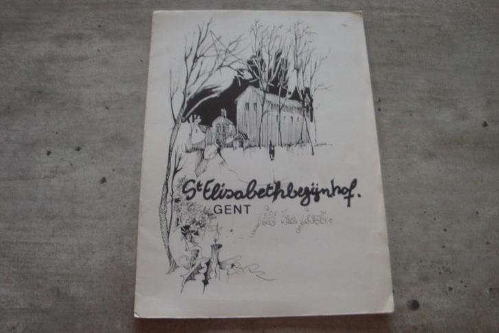 ST.-ELISABETHBEGIJNHOF GENT  door GILBERT VAN GEERT, Boeken, Geschiedenis | Stad en Regio, Gelezen, Ophalen of Verzenden