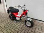 Yamaha Chappy oldtimer 4 takt brommer. eventueel 2 stuks!, Fietsen en Brommers, Brommers | Honda, Ophalen, Gebruikt, Overige modellen