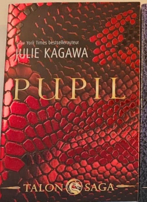 Pupil boek 1 talon saga, Ophalen, Zo goed als nieuw