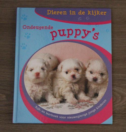 Dieren in de kijker - ondeugende puppy's, Livres, Livres pour enfants | 4 ans et plus, Comme neuf, Non-fiction, 4 ans, Garçon ou Fille