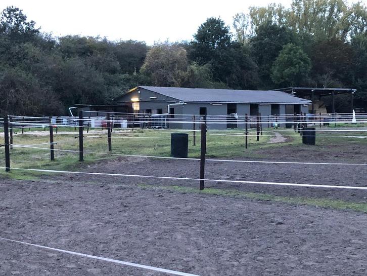 Ecurie située à Baudour propose location box + paddock., Animaux & Accessoires, Box & Pâturages