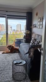 Te koop:studio/ of te huur op jaarbasis aan 630 pmnd.