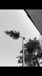 aanleg en onderhoud van tuinen, Tuinonderhoud of Snoeiwerk