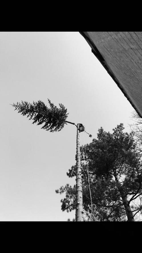 aanleg en onderhoud van tuinen, Diensten en Vakmensen, Tuinmannen en Stratenmakers, Tuinonderhoud of Snoeiwerk