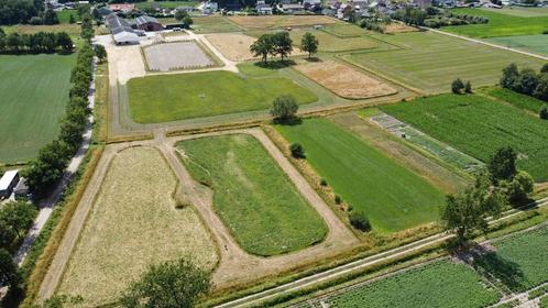 Westernstalling – kudde, rust en ruimte om te trainen, Dieren en Toebehoren, Stalling en Weidegang, Stalling, Weidegang