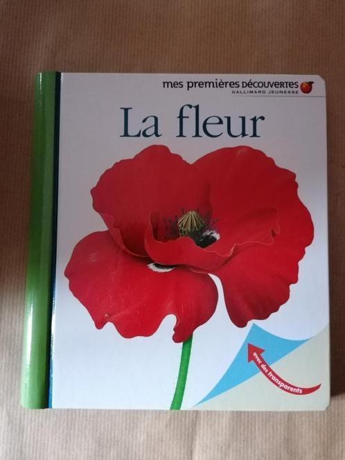 La fleur - René Mettler Mes premières découvertes 3-6ans, Boeken, Kinderboeken | Kleuters, Gelezen, Ophalen of Verzenden
