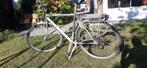 Herenfiets Norta Survival, Fietsen en Brommers, Gebruikt, Versnellingen, 53 tot 57 cm, Ophalen