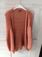 Cardigan van lululove TU, Ophalen of Verzenden, Gedragen