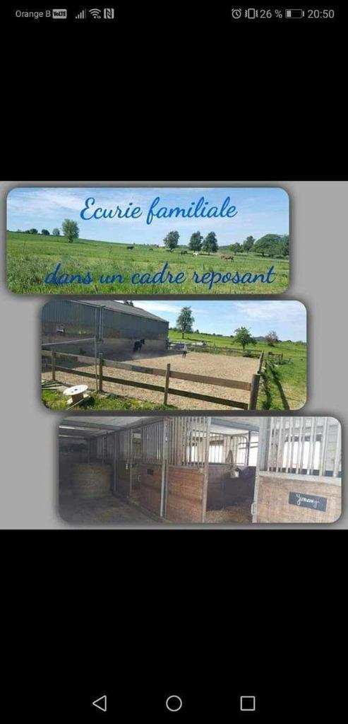 Boxes a louer, Dieren en Toebehoren, Stalling en Weidegang, Stalling, Weidegang