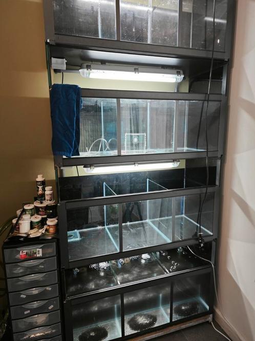 Aquarium Stelling 1m, Animaux & Accessoires, Poissons | Aquariums & Accessoires, Comme neuf, Enlèvement ou Envoi