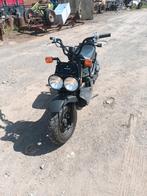 Honda zoomer, Motoren, Particulier