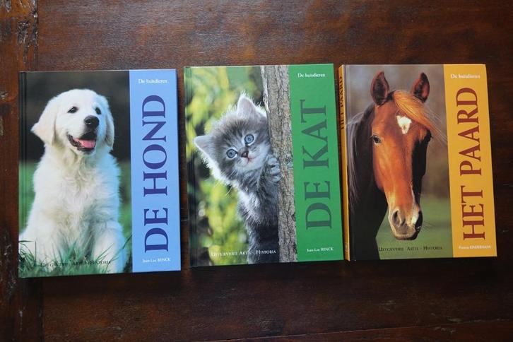 Artis Historia De Huisdieren Hond Kat en Paard, Boeken, Dieren en Huisdieren, Zo goed als nieuw, Ophalen of Verzenden