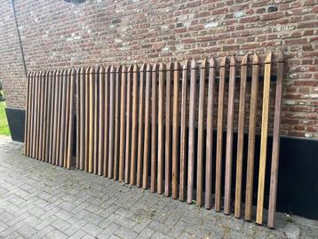 Hardhouten palen  beschikbaar voor biedingen