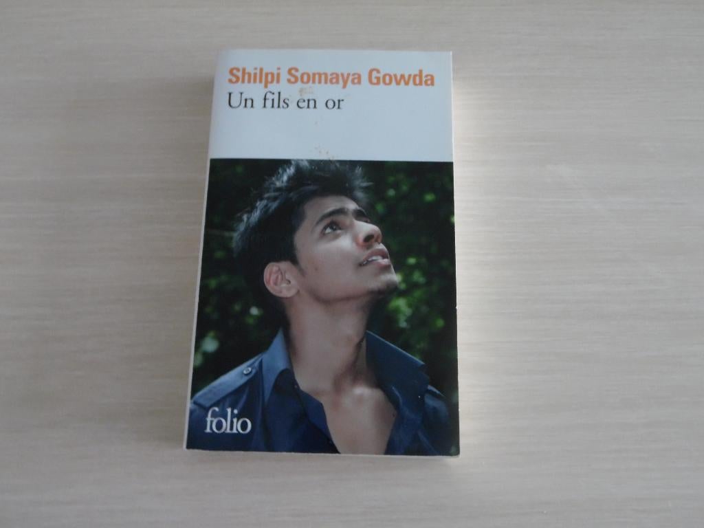 UN FILS EN OR SHILPI      SOMAYA GOWDA, Livres, Shilpi Somaya Gowda, Enlèvement ou Envoi, Comme neuf, Amérique