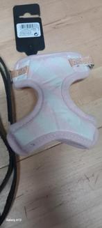 Beeztees puppy borsttuig met riem, Dieren en Toebehoren, Ophalen of Verzenden, Nieuw