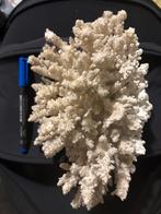 Orail met een gewicht van meer dan 1 kg wit, Verzamelen, Mineralen en Fossielen, Ophalen, Mineraal