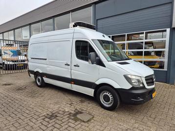 Mercedes-Benz Sprinter 316 CDI Kuhlwagen Carrier Xarios 350  beschikbaar voor biedingen