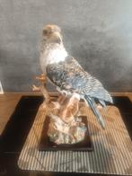 Vintage golden Eagle ( Italië ) jaren 1980, Ophalen of Verzenden