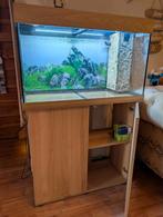 Aquarium met kast, Dieren en Toebehoren, Ophalen