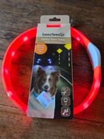 Fluoriscerende halsband hond, Ophalen of Verzenden, Nieuw