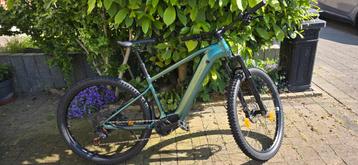 Fantastische elektrische mountainbike, Fietsen en Brommers, Hardtail, Heren, 49 tot 53 cm, Zo goed als nieuw