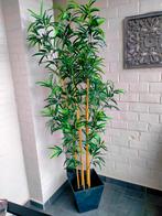 Bamboo plant nep goede kwaliteit, Ophalen, Zo goed als nieuw