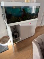 Aquarium met filter en kast 260l Aartselaar, Dieren en Toebehoren, Vissen | Aquaria en Toebehoren, Ophalen, Zo goed als nieuw