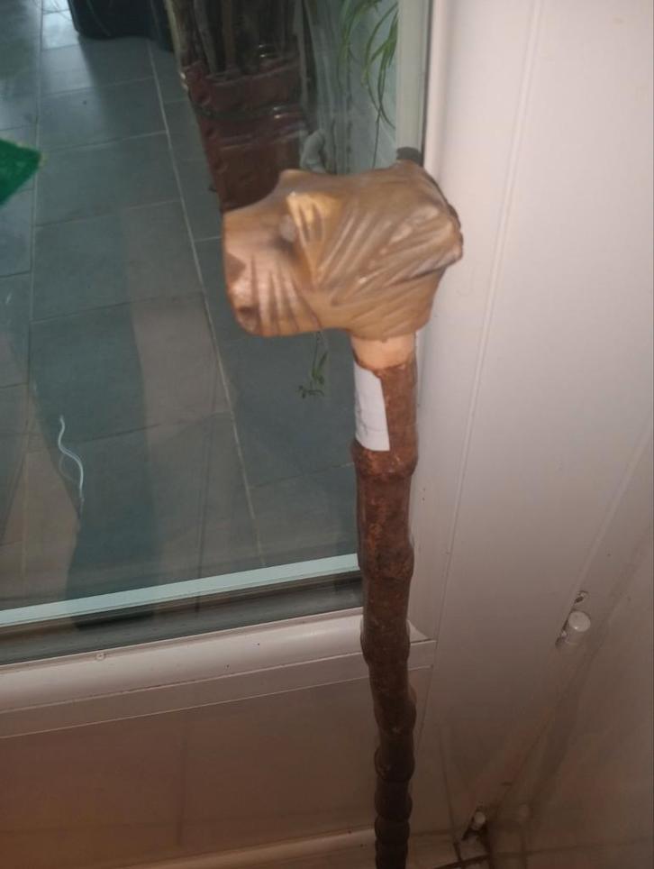 Riethoorn (hond), Diversen, Wandelstokken