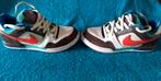 Nike Zoom Air Paul Rodriguez  mt 41, Nike, Ophalen of Verzenden, Zo goed als nieuw, Sneakers