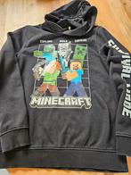 Sweater minecraft (176), Kinderen en Baby's, Kinderkleding | Maat 176, Ophalen of Verzenden, Zo goed als nieuw