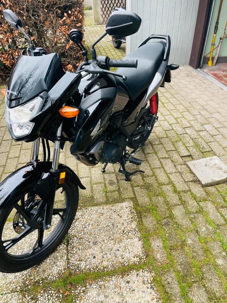 Honda CB125F (2022)    euro5, Motos, Motos | Honda, Particulier, Naked bike, jusqu'à 11 kW, 1 cylindre, Permis Moto A1 minimum