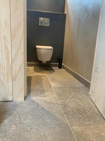 AANBIEDING CALCAIRE GRIS BOURGONDISCHE DALLEN VLOER beschikbaar voor biedingen