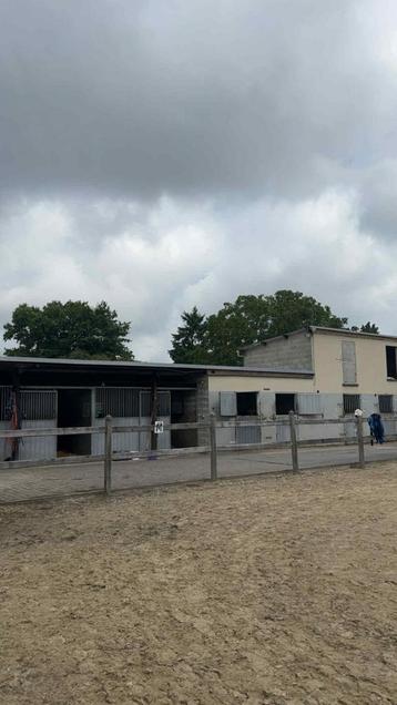1 stal vrij volpension beschikbaar voor biedingen