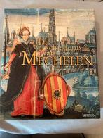 De geschiedenis van Mechelen, Boeken, Geschiedenis | Stad en Regio, Ophalen of Verzenden, Zo goed als nieuw