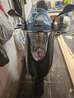 Nipponia arte 125 1200km, Dieren en Toebehoren, Ophalen, Zo goed als nieuw