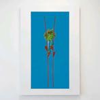 Jasper Oostland kikker nu 25 ipv 350€, Antiek en Kunst, Ophalen of Verzenden