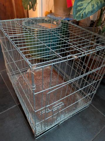 Metalen hok 60 CM L x 45 CM B x 55 CM H beschikbaar voor biedingen