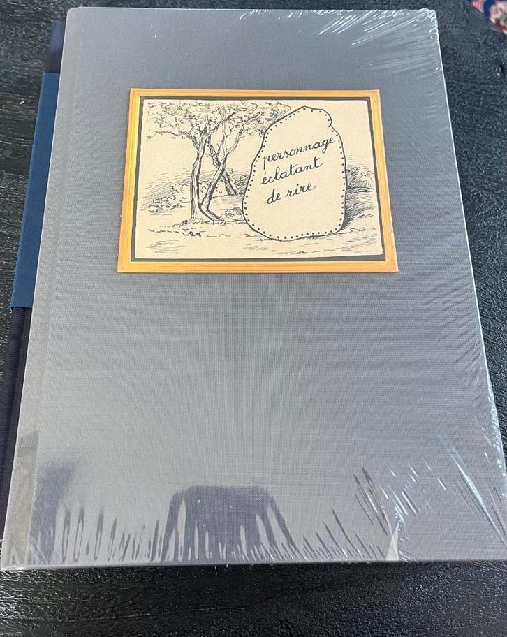 Kunstboek “les mots et les images” Ronny Van de Velde / Jan, Boeken, Kunst en Cultuur | Beeldend, Nieuw, Schilder- en Tekenkunst