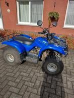 Yamaha Grizzly 125, Motoren