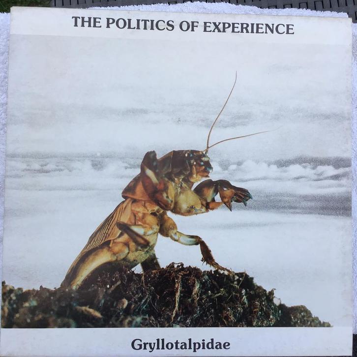 La politique de l'expérience : album de Gryllotalpidae, CD & DVD, Vinyles | Rock, Enlèvement