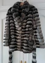 Bontjas pelsjas chinchilla, Kleding | Dames, Ophalen of Verzenden, Maat 38/40 (M)