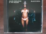CD : MAURO PAWLOWSKI & THE GROOMS - BLACK EUROPA, Ophalen of Verzenden, Zo goed als nieuw