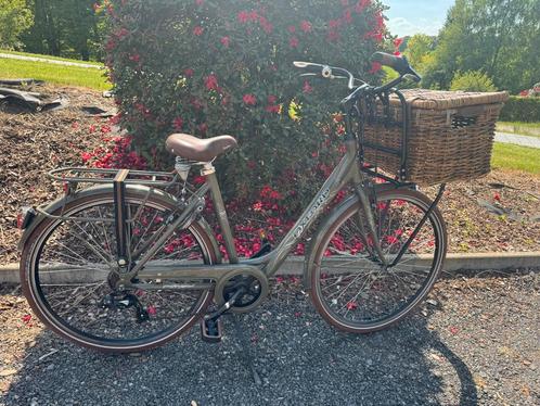 Vélo de ville Oxford Classico Negro, Fietsen en Brommers, Fietsen | Bakfietsen, Ophalen