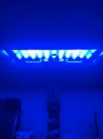 Blauwe licht voor zeeaquarium, Dieren en Toebehoren, Ophalen of Verzenden, Zo goed als nieuw, Verlichting of Verwarming
