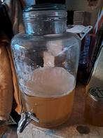 Kombucha Zwam, Ophalen